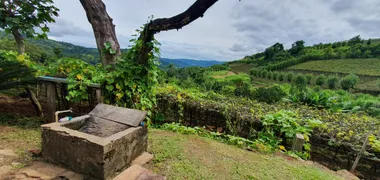 Fazenda / Sítio / Chácara à venda, 20000m² no Zona Rural, Santa Tereza - Foto 15