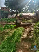 Terreno / Lote / Condomínio à venda no Menezes, Ribeirão das Neves - Foto 3