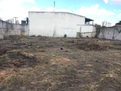 Terreno / Lote / Condomínio à venda, 1350m² no Setor Coimbra, Goiânia - Foto 4