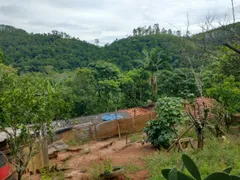 Fazenda / Sítio / Chácara com 3 Quartos à venda, 6000m² no Jardim Colonia, Jacareí - Foto 9