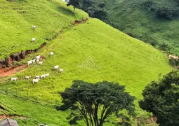 Fazenda / Sítio / Chácara à venda, 242000m² no Zona Rural, Piranguçu - Foto 17