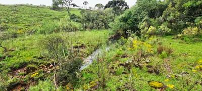 Fazenda / Sítio / Chácara à venda, 150000m² no Centro, São Joaquim - Foto 27