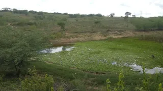 Fazenda / Sítio / Chácara com 1 Quarto à venda, 36000000m² no ALTO DO MOURA, Caruaru - Foto 2