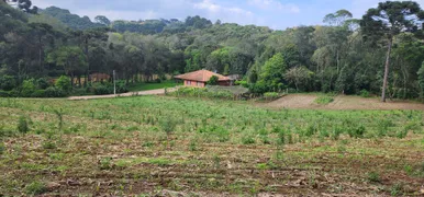 Fazenda / Sítio / Chácara com 3 Quartos à venda, 17000m² no Campestre dos Paulas, Mandirituba - Foto 4