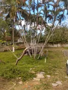 Fazenda / Sítio / Chácara com 2 Quartos à venda, 140m² no Vargem Grande, Rio de Janeiro - Foto 21