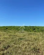 Fazenda / Sítio / Chácara à venda, 1120000m² no Icatu, Querência do Norte - Foto 9