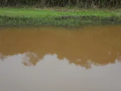 Fazenda / Sítio / Chácara com 4 Quartos à venda, 1330m² no Cocais, Ibiúna - Foto 62