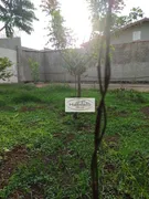 Terreno / Lote / Condomínio para venda ou aluguel, 260m² no Parque das Oliveiras, Ribeirão Preto - Foto 7