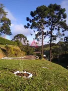 Fazenda / Sítio / Chácara com 7 Quartos à venda, 1800m² no Centro, Cunha - Foto 12