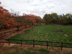 Fazenda / Sítio / Chácara à venda, 84600m² no , Boa Esperança do Sul - Foto 11