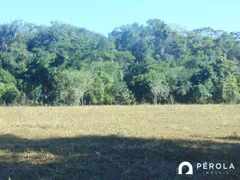 Fazenda / Sítio / Chácara com 5 Quartos à venda, 300m² no Zona Rural, Caldazinha - Foto 7