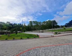 Terreno / Lote / Condomínio à venda no Santa Catarina, Caxias do Sul - Foto 5