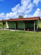 Fazenda / Sítio / Chácara com 3 Quartos à venda, 5000m² no Zona Rural, Monte Alegre - Foto 25