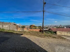 Terreno / Lote / Condomínio à venda, 254m² no Niterói, Divinópolis - Foto 4