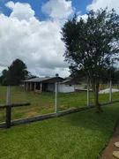 Fazenda / Sítio / Chácara com 2 Quartos à venda, 23000m² no Faxina, São José dos Pinhais - Foto 8