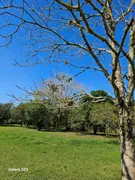 Terreno / Lote / Condomínio à venda, 5400m² no Serra de Mato Grosso Sampaio Correia, Saquarema - Foto 5