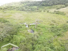 Fazenda / Sítio / Chácara à venda, 3500000m² no Zona Rural, Bonito - Foto 7