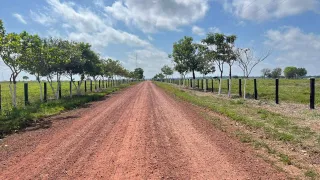 Fazenda / Sítio / Chácara com 3 Quartos à venda, 71150000m² no Celio Miranda, Paragominas - Foto 3