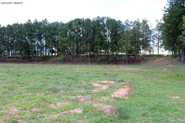 Terreno / Lote Comercial à venda no Eden, Sorocaba - Foto 11