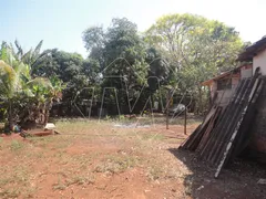 Fazenda / Sítio / Chácara à venda, 1m² no Centro, Araraquara - Foto 1