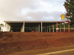 Conjunto Comercial / Sala para alugar, 600m² no Chapada, Ponta Grossa - Foto 1