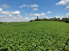 Fazenda / Sítio / Chácara com 3 Quartos à venda, 87m² no Area Rural de Capao Bonito, Capão Bonito - Foto 3