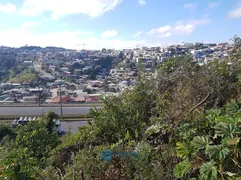 Terreno / Lote / Condomínio à venda, 748m² no Pioneiro, Caxias do Sul - Foto 14