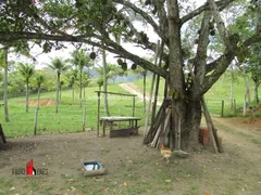 Fazenda / Sítio / Chácara com 4 Quartos à venda, 183000m² no Zona Rural, Rio Bonito - Foto 31