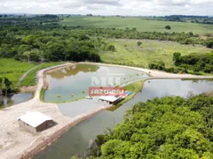 Fazenda / Sítio / Chácara com 2 Quartos à venda, 250m² no Zona Rural, Piracanjuba - Foto 5