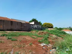 Terreno / Lote / Condomínio à venda, 244m² no Jardim Morumbi, Araraquara - Foto 1