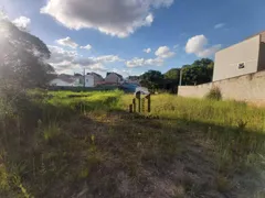 Terreno / Lote / Condomínio à venda, 600m² no Jardim das Américas, Curitiba - Foto 9