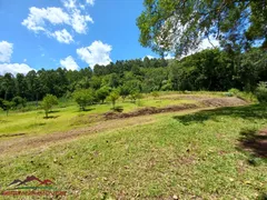 Fazenda / Sítio / Chácara com 3 Quartos à venda, 100m² no Pinhal Alto, Nova Petrópolis - Foto 30
