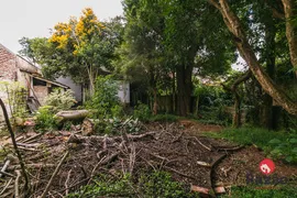 Terreno / Lote Comercial à venda, 392m² no Mercês, Curitiba - Foto 17