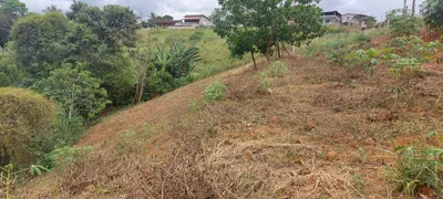 Fazenda / Sítio / Chácara à venda, 3000m² no Timbui, Fundão - Foto 8