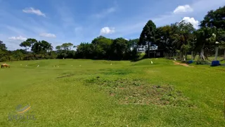 Fazenda / Sítio / Chácara com 2 Quartos à venda, 194m² no Faxina, São José dos Pinhais - Foto 4