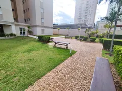 Apartamento com 3 Quartos à venda, 80m² no Jardim das Paineiras, Campinas - Foto 14