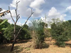 Terreno / Lote / Condomínio à venda, 2000m² no Chacaras Cotia, Contagem - Foto 13