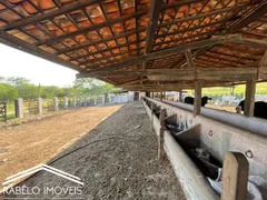 Fazenda / Sítio / Chácara à venda, 290000m² no Zona Rural, Gravatá - Foto 14