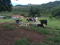 Fazenda / Sítio / Chácara com 3 Quartos à venda, 1000m² no , Silvianópolis - Foto 5