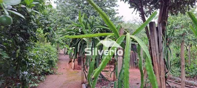 Fazenda / Sítio / Chácara com 2 Quartos à venda, 135m² no , Jambeiro - Foto 19