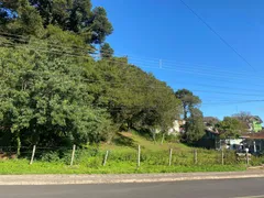 Terreno / Lote / Condomínio à venda, 1546m² no Vila Boeira, Canela - Foto 1
