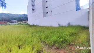 Terreno / Lote / Condomínio à venda, 492m² no São Pedro, Juiz de Fora - Foto 3