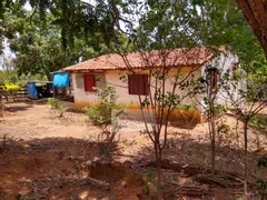 Fazenda / Sítio / Chácara com 4 Quartos à venda, 75000m² no Zona Rural, Bonfinópolis - Foto 14