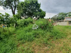 Terreno / Lote / Condomínio à venda, 446m² no Jardim de Lourdes, Embu das Artes - Foto 5