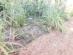 Terreno / Lote / Condomínio à venda no Zona Rural, Santo Antônio do Leverger - Foto 3