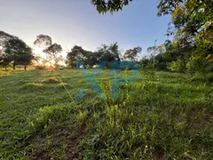 Fazenda / Sítio / Chácara com 2 Quartos à venda, 60m² no Zona Rural, São Sebastião do Oeste - Foto 30