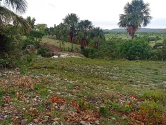 Fazenda / Sítio / Chácara com 2 Quartos à venda, 13000m² no Zona Rural, Faina - Foto 6