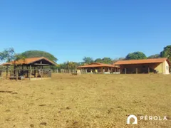 Fazenda / Sítio / Chácara com 5 Quartos à venda, 300m² no Zona Rural, Caldazinha - Foto 16