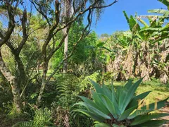 Terreno / Lote / Condomínio à venda, 3860m² no Chácaras Catagua, Taubaté - Foto 7