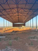 Fazenda / Sítio / Chácara à venda, 1210000m² no Zona Rural, Vianópolis - Foto 5